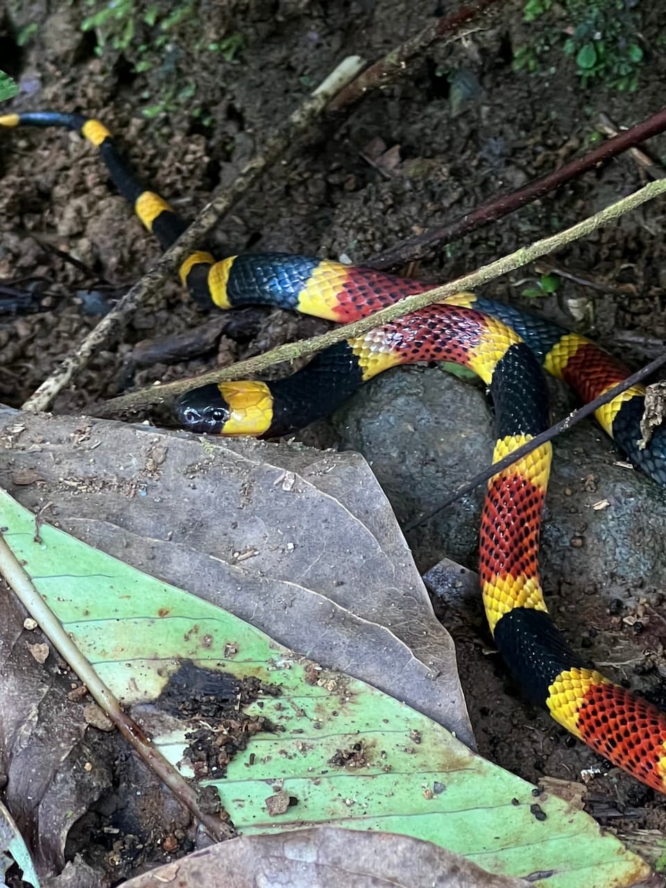 image of band rehearsing