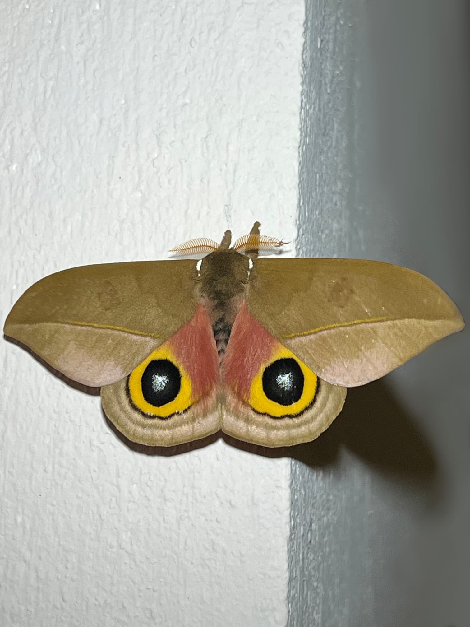 image of curated seasonal dishes in a modern restaurant