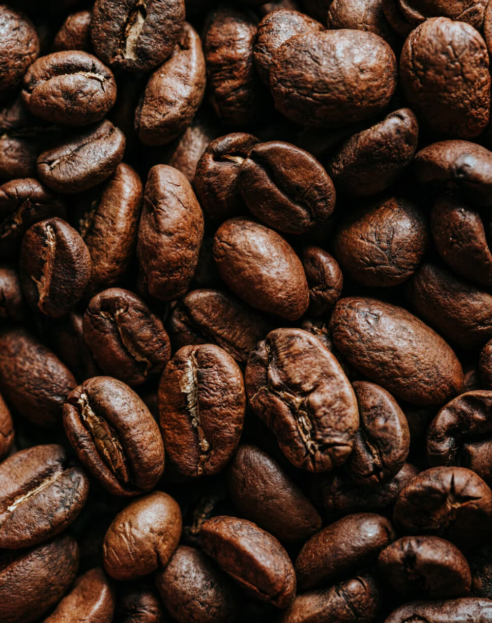 How Our First Coffee Shop Started Coffeebeans - Cappuccino X Webflow Template