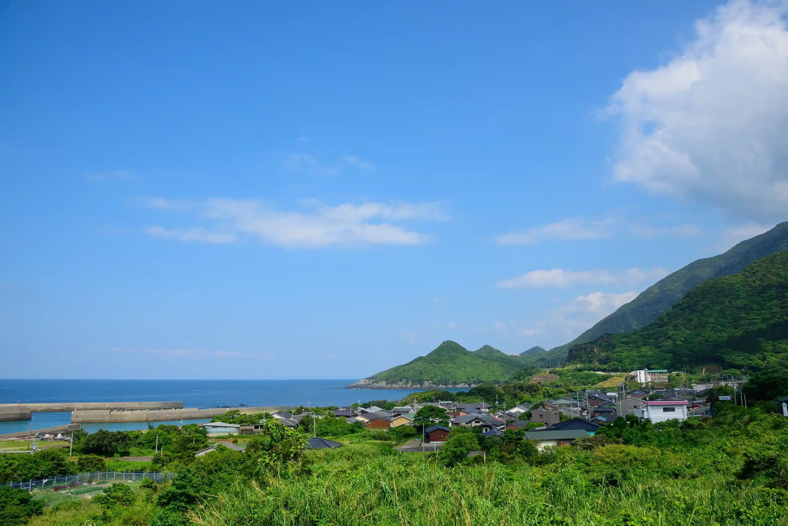 image of top-selling educational toy