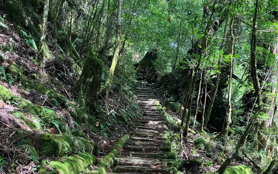 image of top-selling educational toy