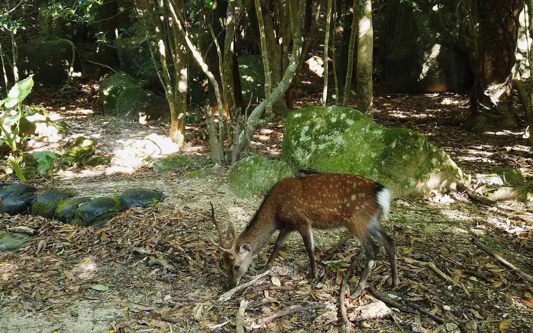 image of top-selling educational toy