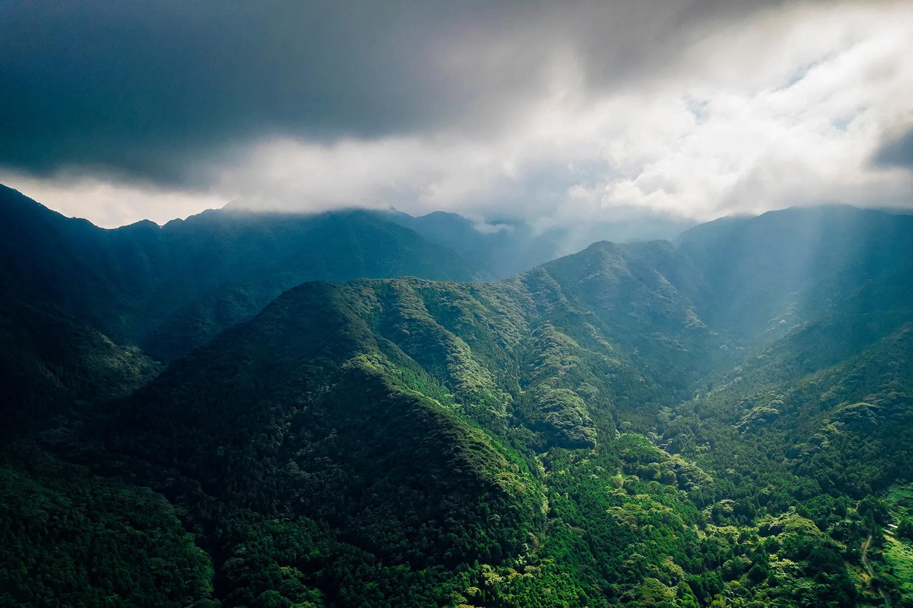 image of electric vehicle charging station