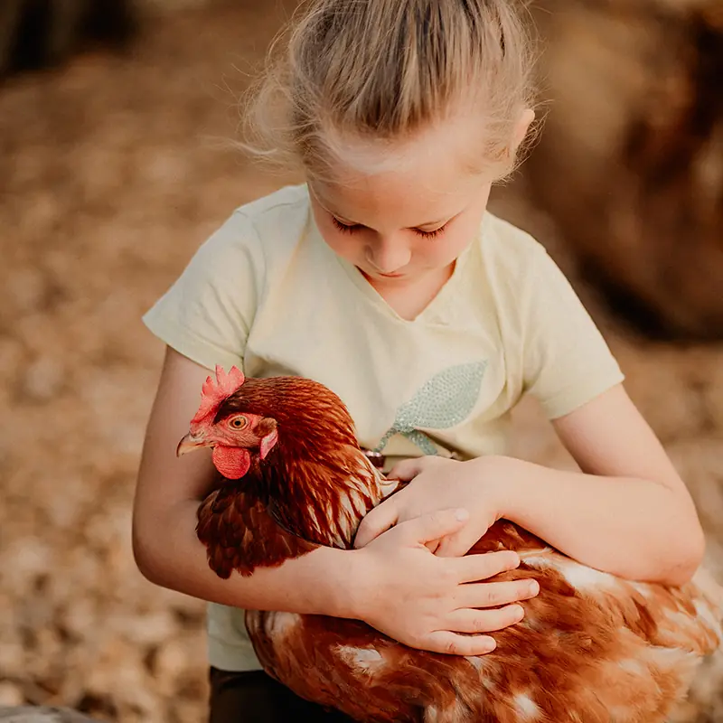 Individuelle Tierzeit - Einfühlsame Einzelbetreuung mit Tieren für Kinder mit besonderen Bedürfnissen