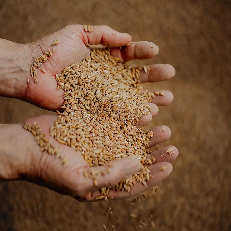 Gruppenangebote - Kinder wachsen gemeinsam in festen Gruppen über Jahreszeiten hinweg