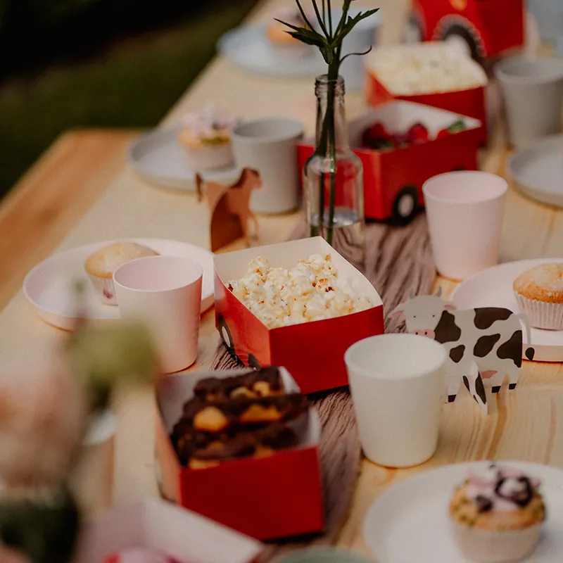 Kindergeburtstag auf dem Bauernhof - Kinder feiern mit Tieren in liebevollem Rahmen