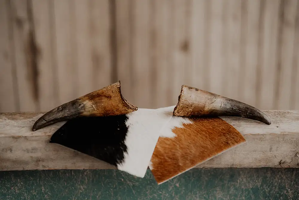 Verschiedene Texturen erfühlen - Fell und Wolle zum Tasten und Entdecken