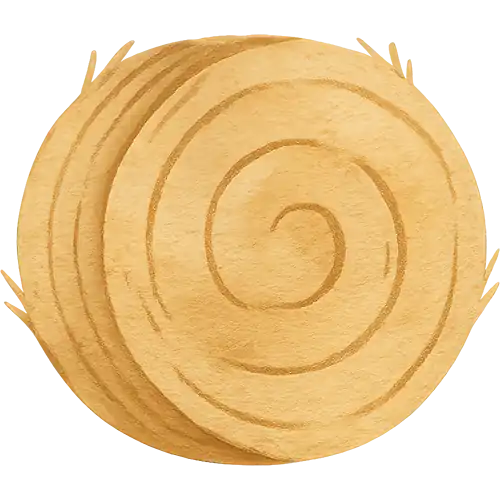 Frische Landluft - Kinder toben und entdecken im Grünen