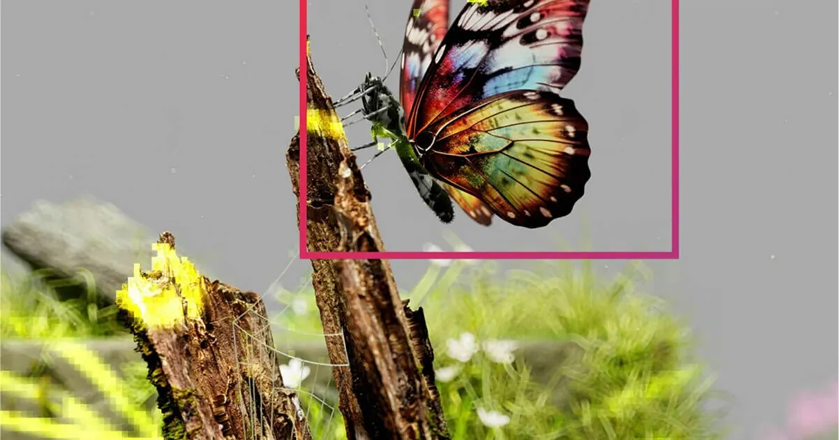 A close-up of a brightly colored butterfly resting on a wooden branch, surrounded by green plants and flowers.