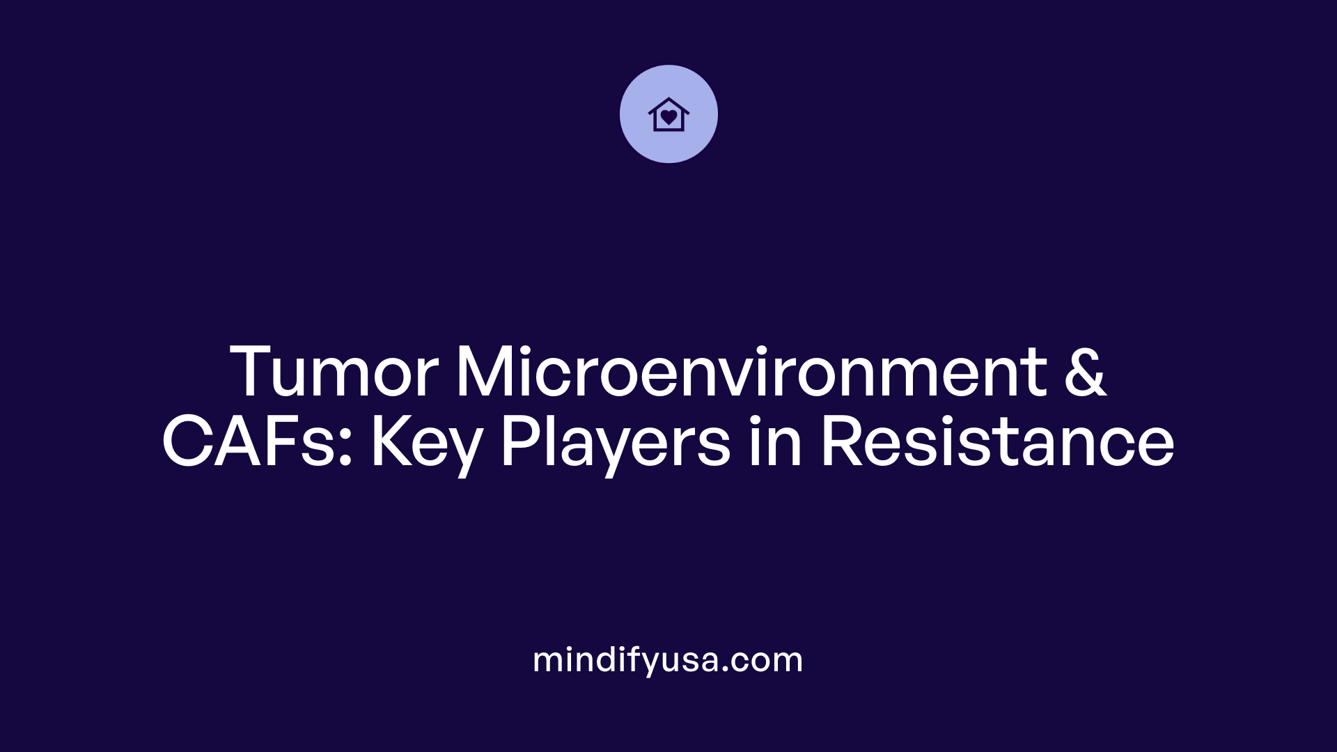 Tumor Microenvironment &amp; CAFs: Key Players in Resistance