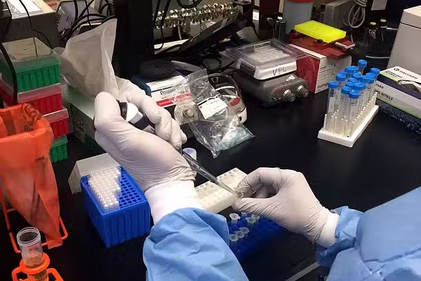 Stop Gain-of-Function Research. Now.