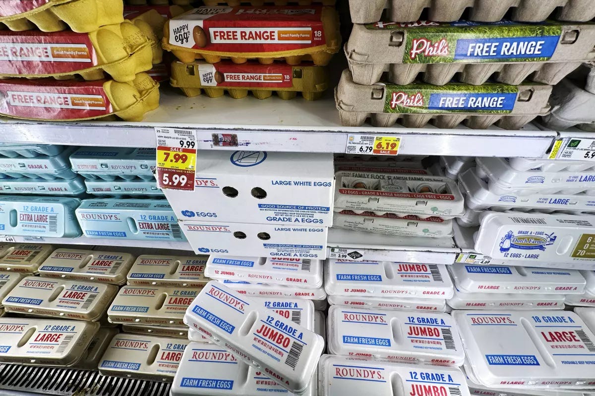 Can the Department of Agriculture Make Eggs Affordable Again?
