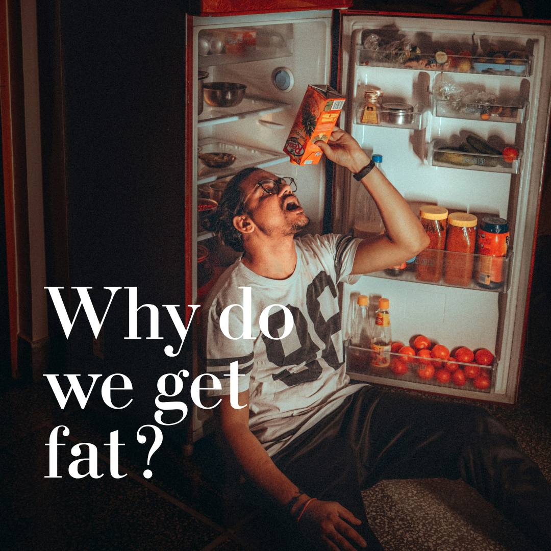 Co właściwie dzieje się w ciele, kiedy tyjemy?