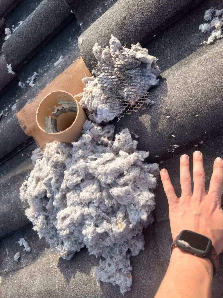 dust particles in chamber