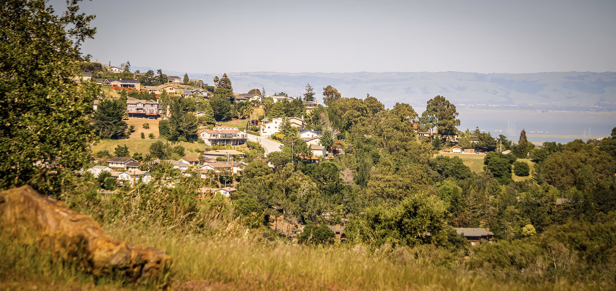 Hillside Silicon Valley neighborhood with houses among dense green trees overlooking a bay and distant hills under a clear sky.