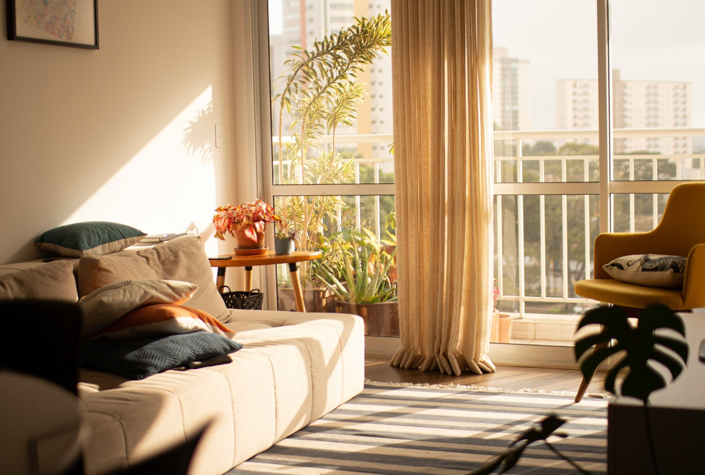 Bright, sunlit apartment living room with natural light streaming through large windows.