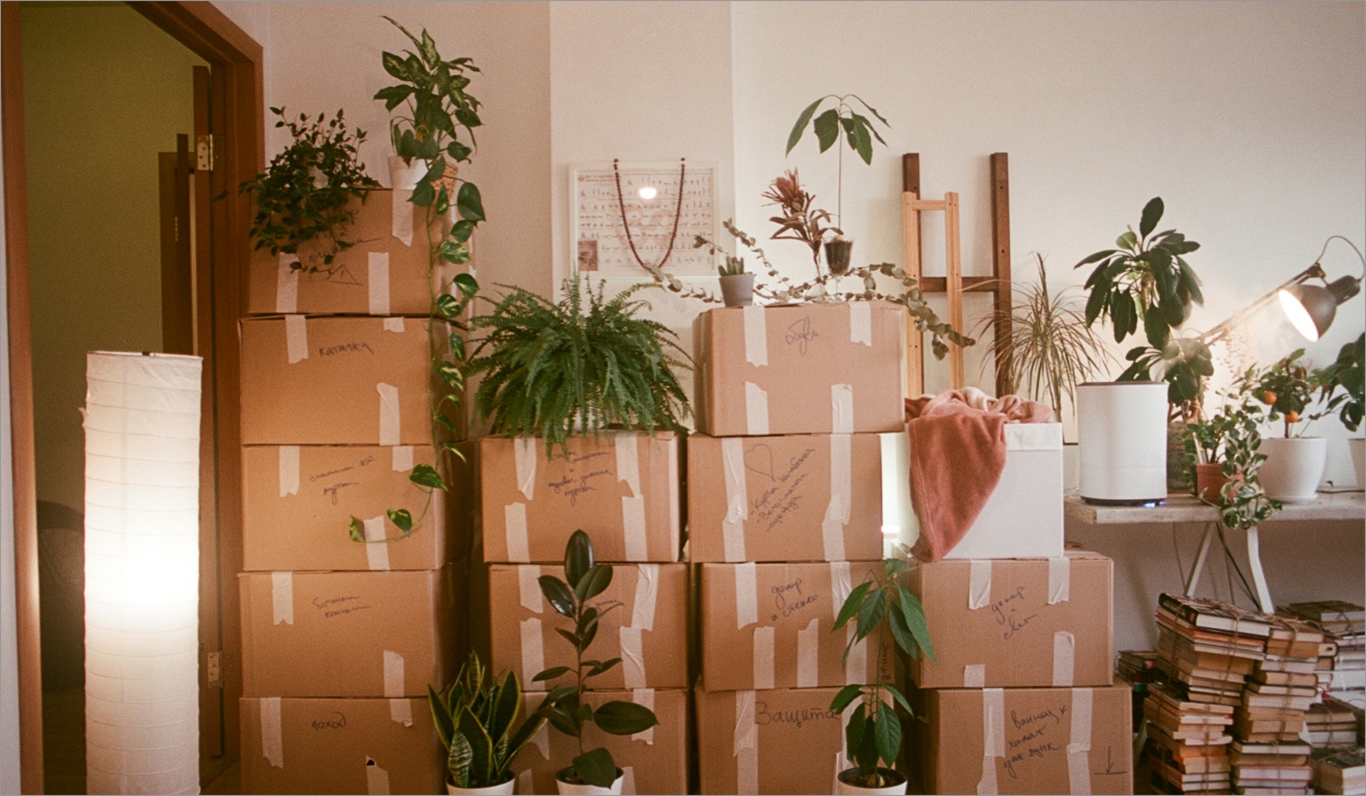 Moving boxes in a living room representing someone moving to a new apartment or rental home.