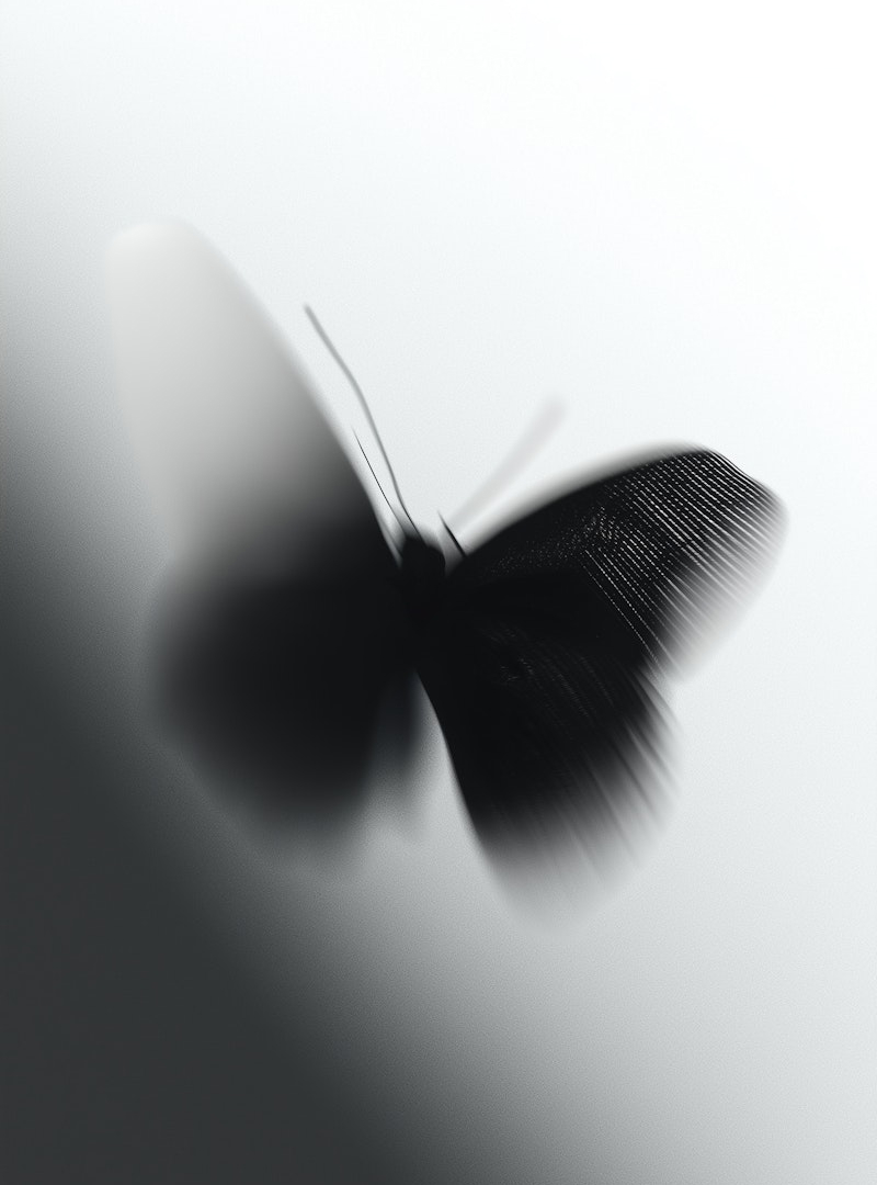 A black and white photo of a butterfly.