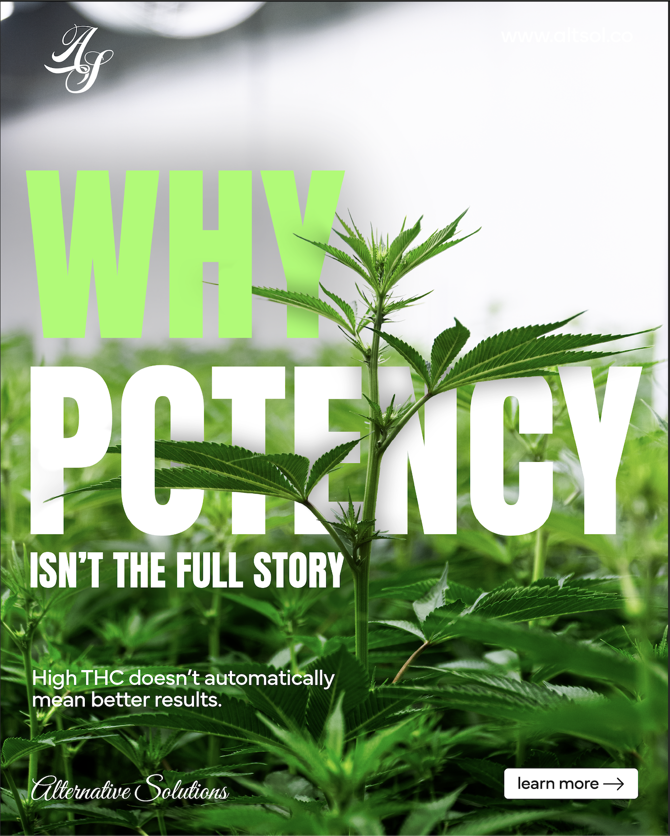 Social growth example 3