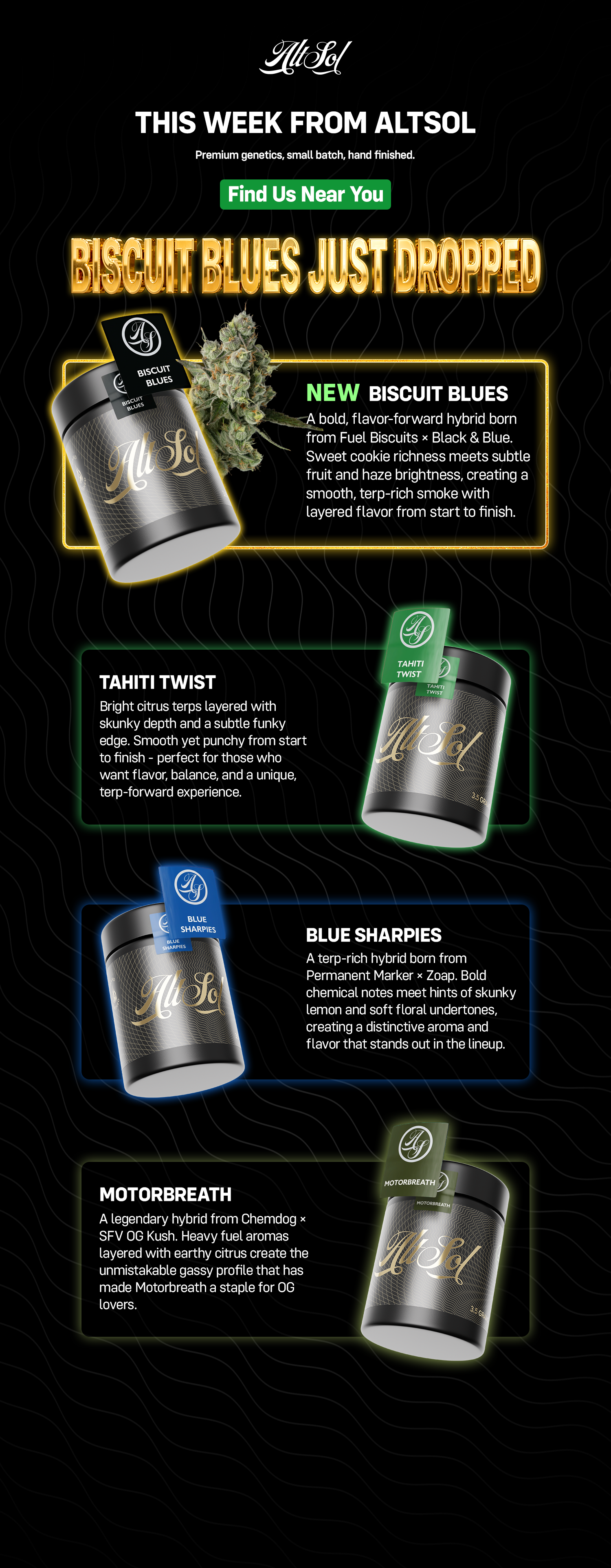 Email campaign example