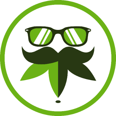 Mr Green