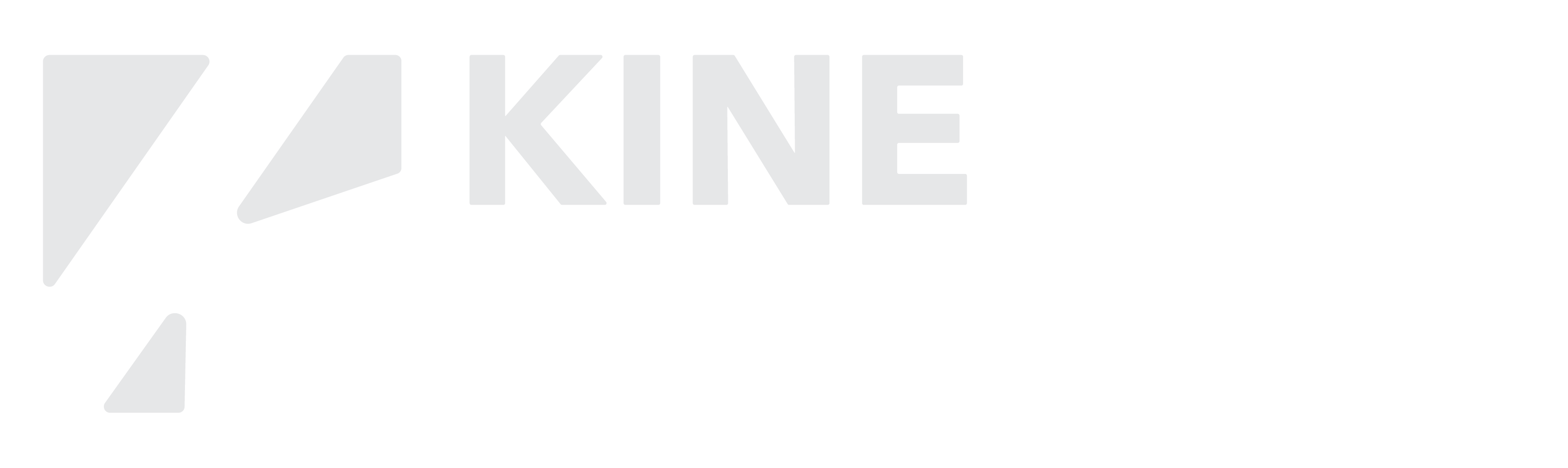 Logo van Kine Connect met abstracte geometrische vorm links van de naam.