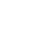 store icon