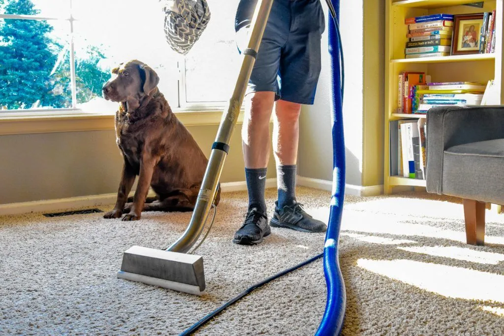 How Long Does it take Carpet to Dry After Cleaning?