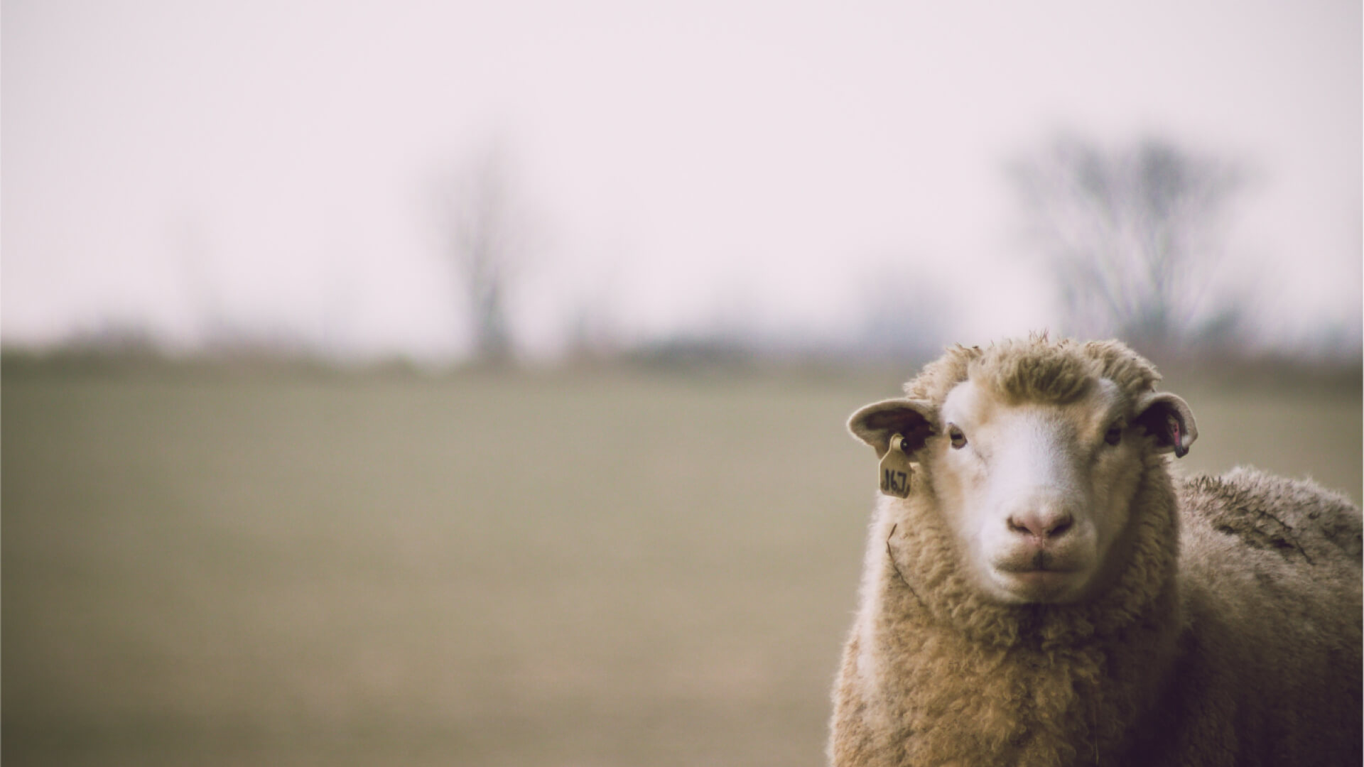 Think piece: Disrupting our very own industries