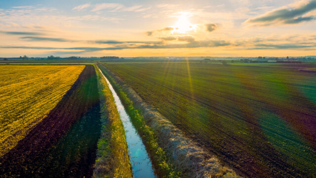 Hemp Industry Research Report - Digitisation Unlocks Opportunities for Emerging Hemp Industry