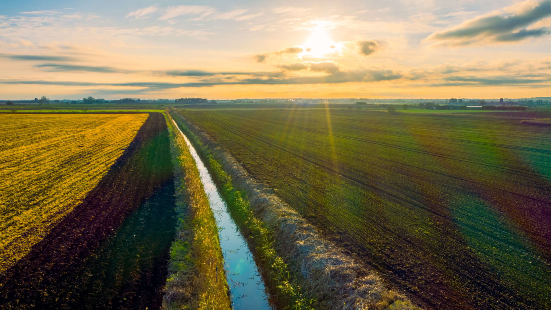Hemp Industry Research Report - Digitisation Unlocks Opportunities for Emerging Hemp Industry