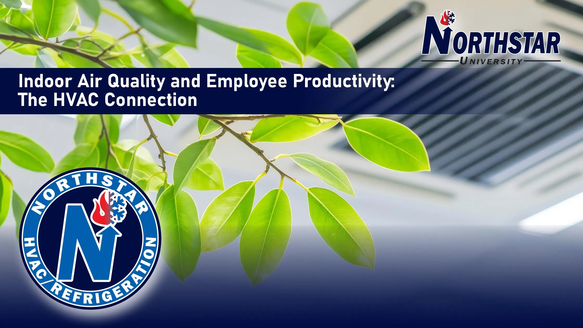 Featured image for Northstar HVACR blog post: Indoor Air Quality and Employee Productivity: The HVAC Connection
