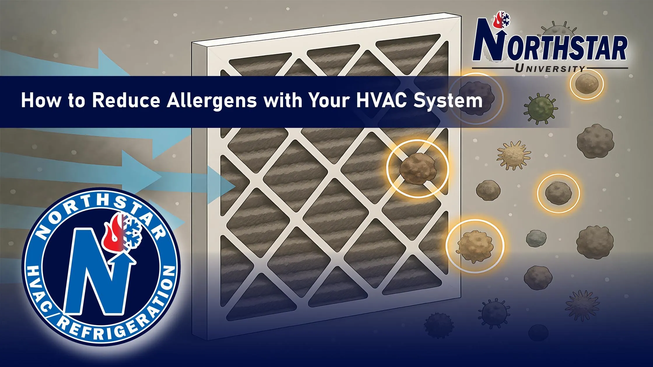 Featured image for Northstar HVACR blog post: How to Reduce Allergens with Your HVAC System