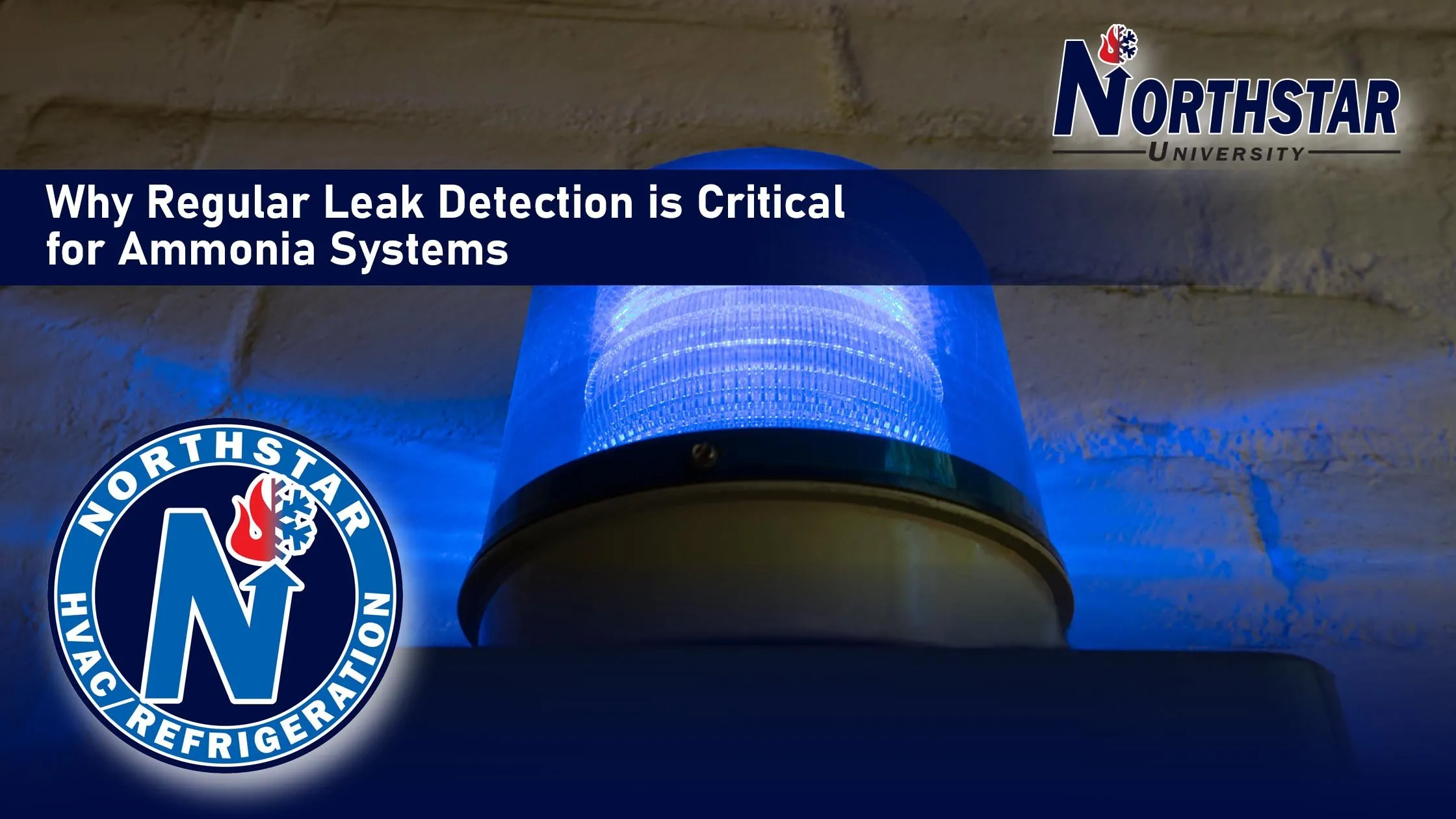 Why Regular Leak Detection is Critical for Ammonia Systems