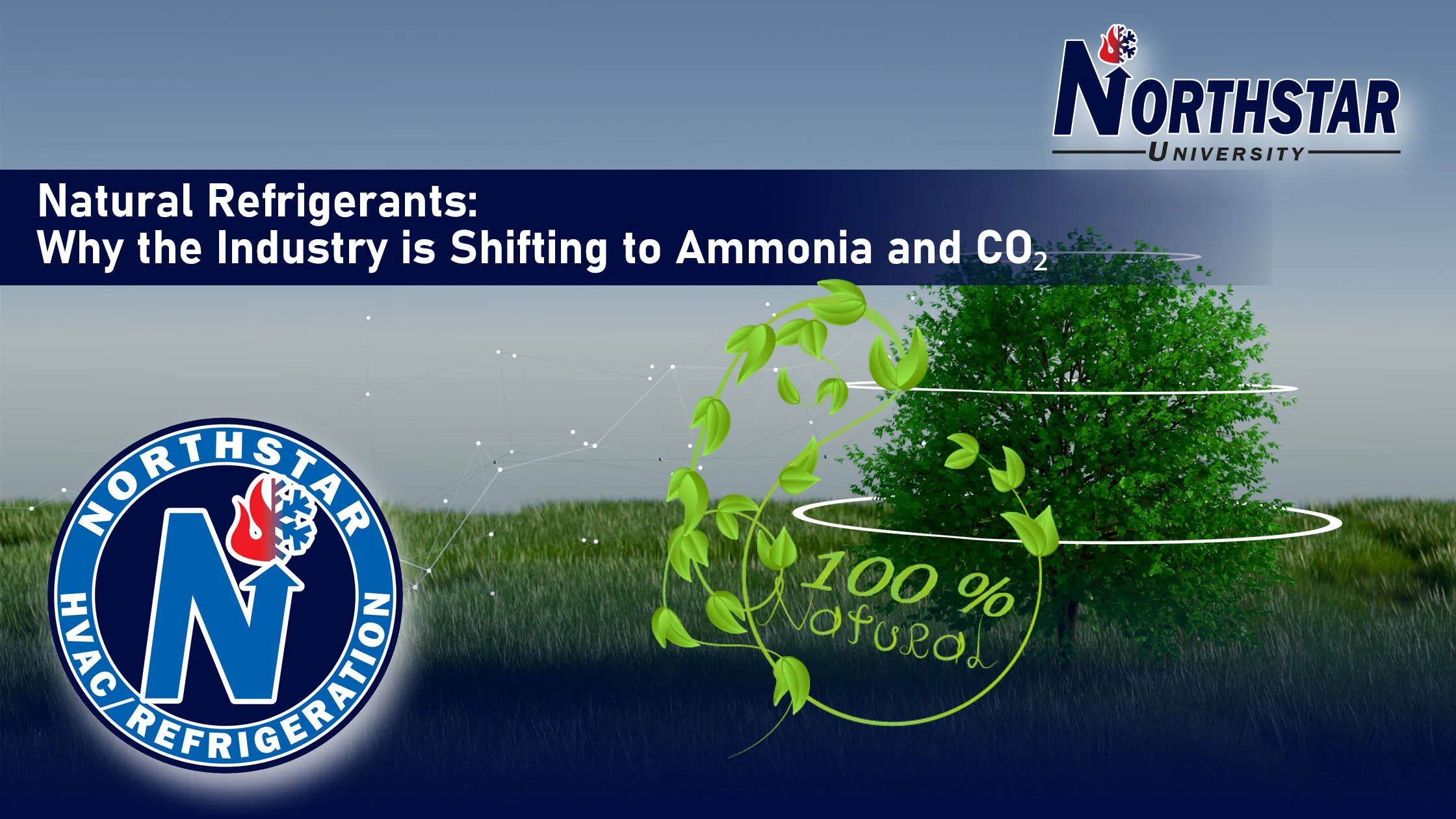 Natural Refrigerants: Why the Industry is Shifting to Ammonia and CO₂