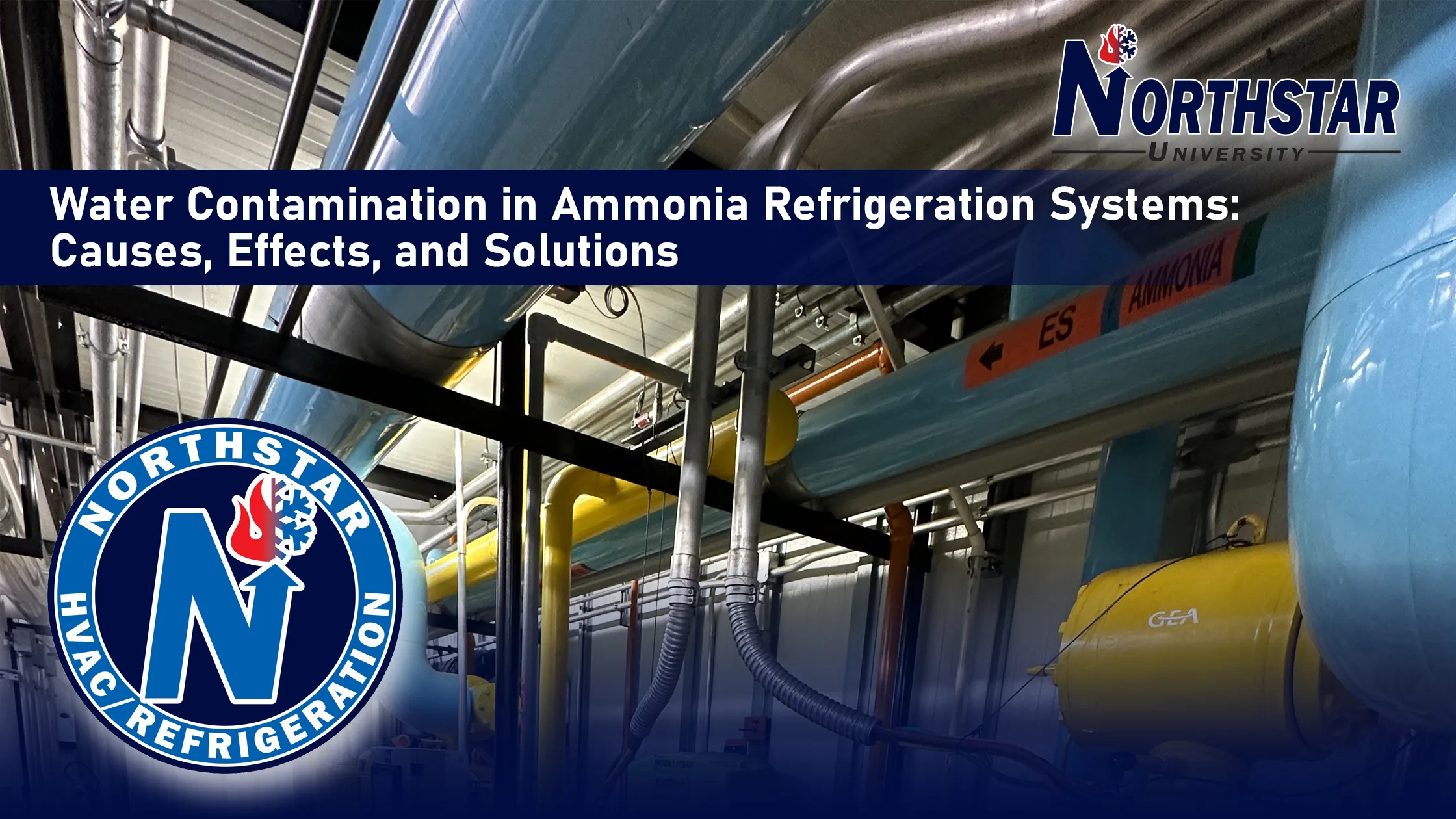 Water Contamination in Ammonia Refrigeration Systems: Causes, Effects, and Solutions