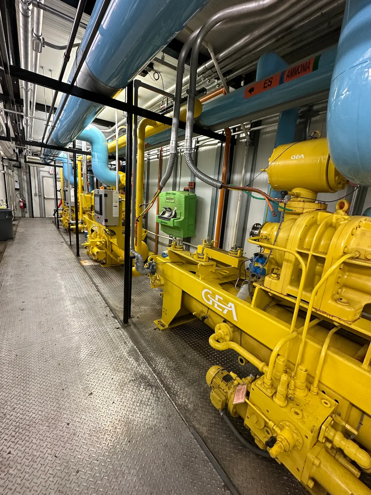 Row of yellow industrial refrigeration compressors with blue insulated piping in an engine room