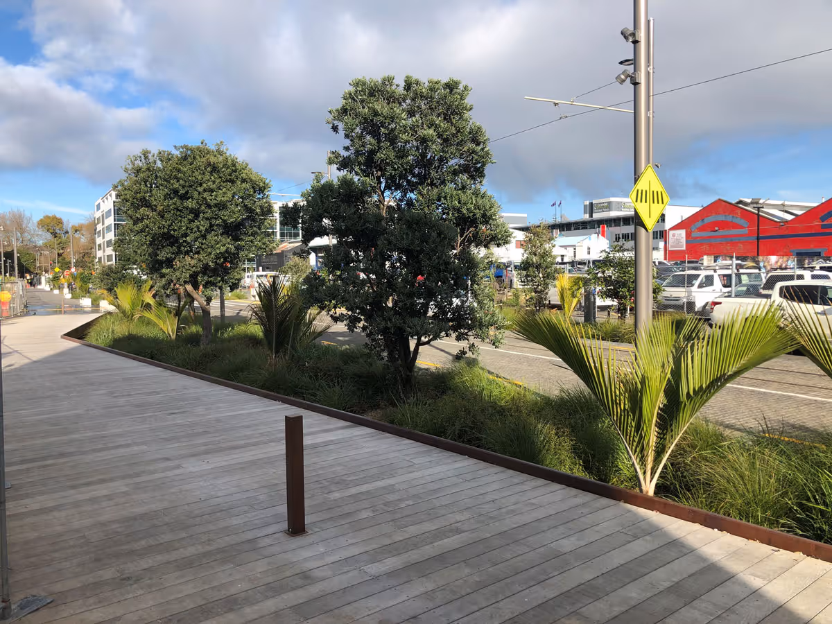 Road with trees in middle island