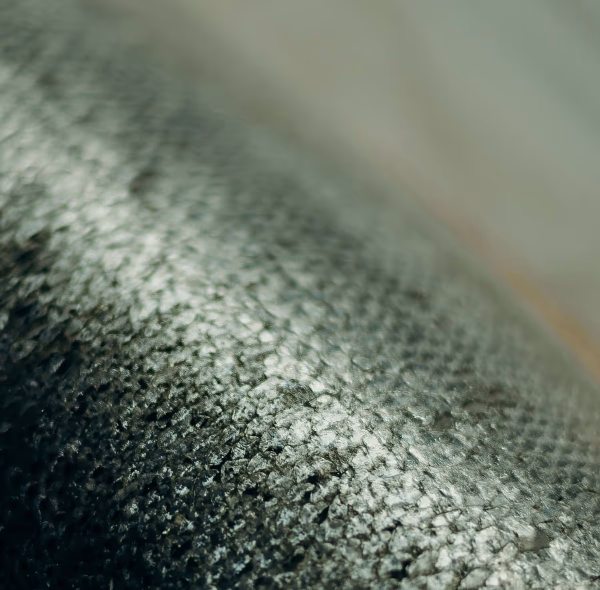 Close-up of fish scales
