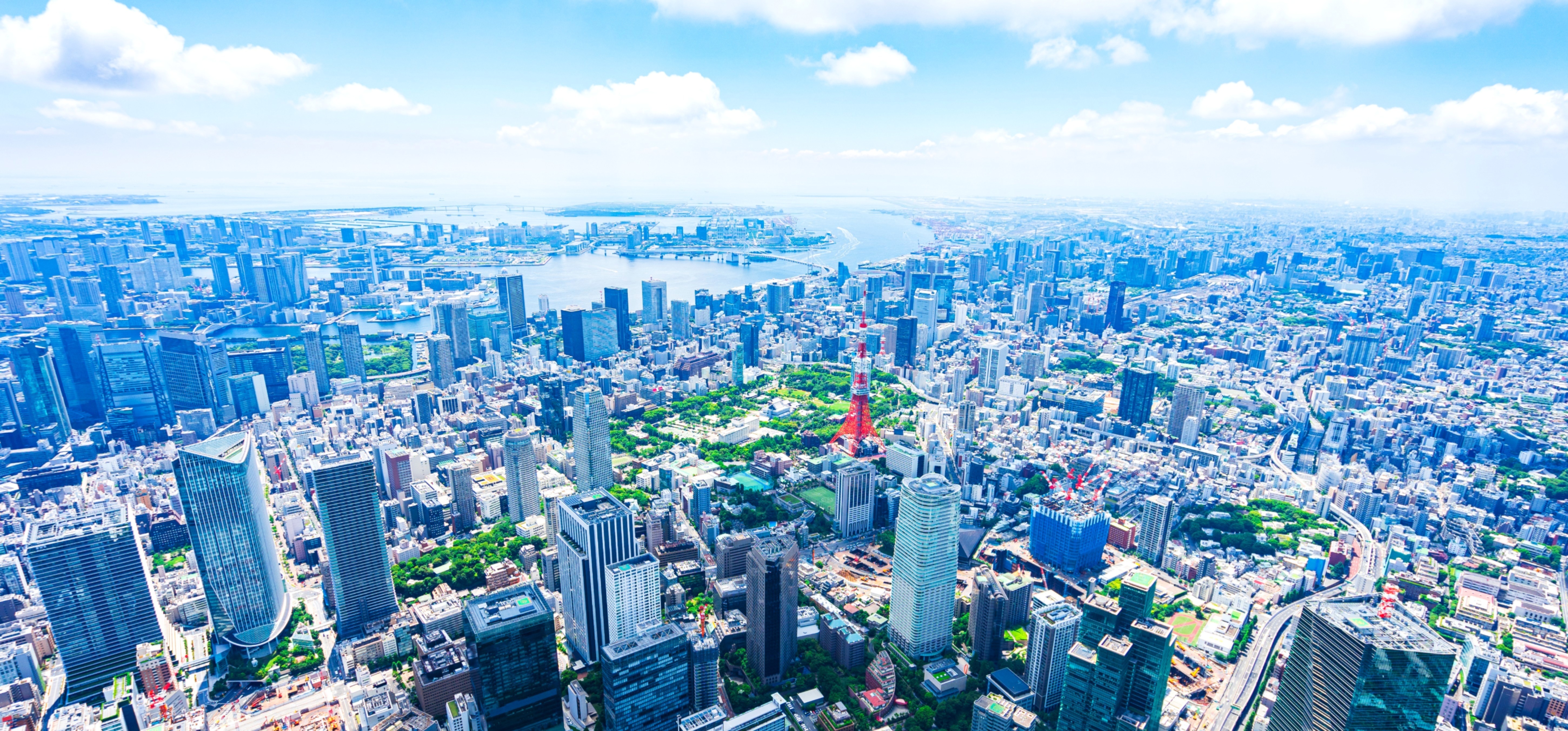 person standing between the rocks