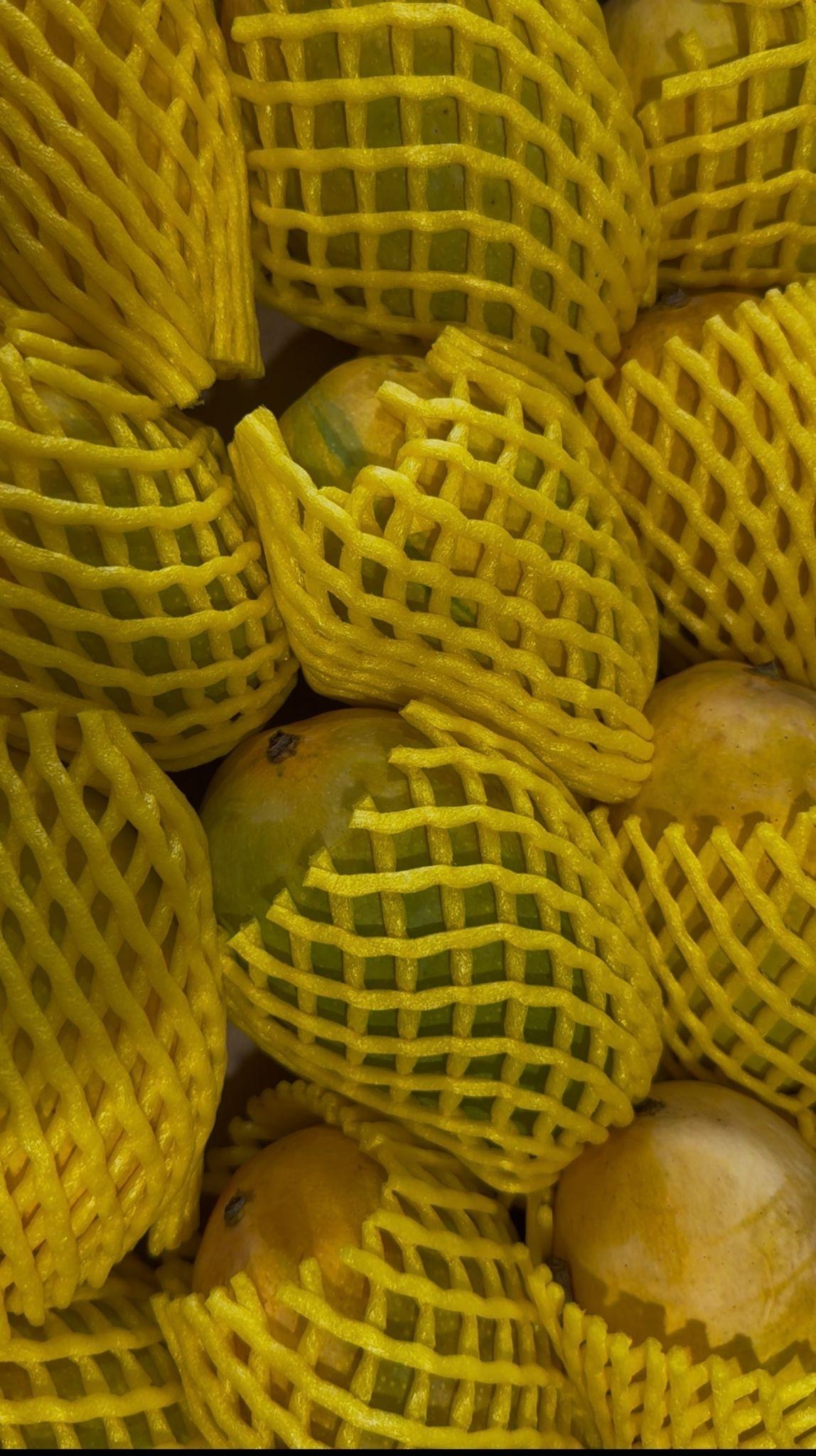 Mangoes in their bright yellow casing