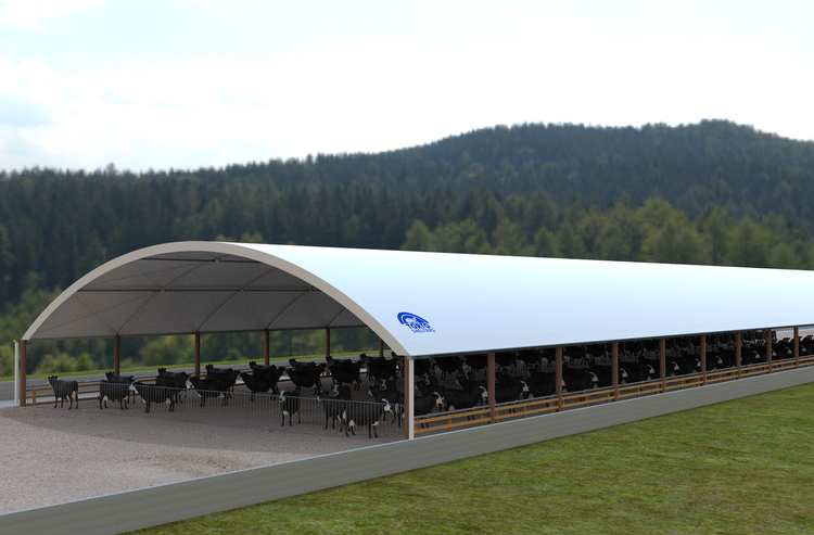 A render of a TortoShelter with Dairy Cows