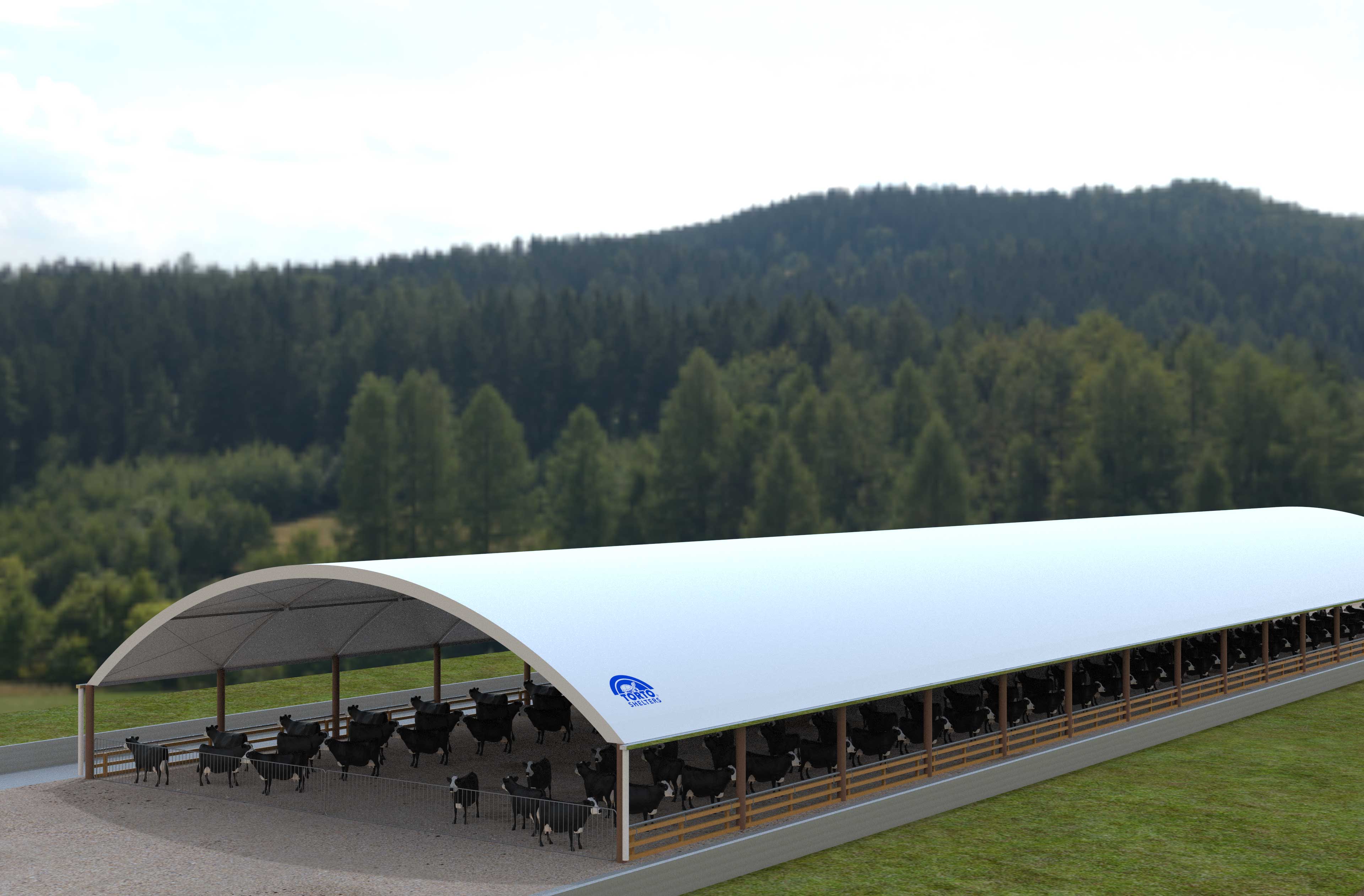 A render of a TortoShelter with Dairy Cows