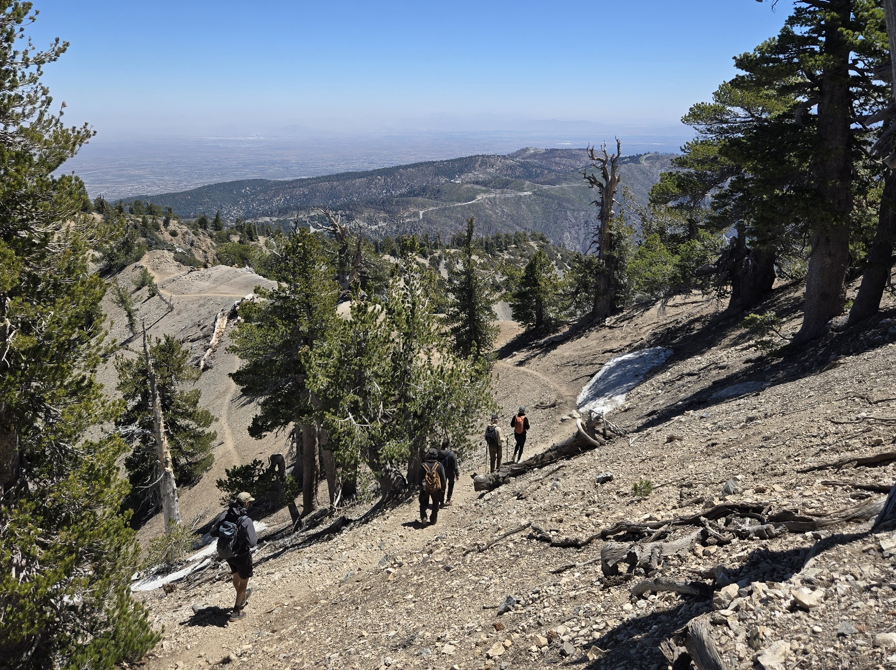 A group of hikers making their way across a rocky trail among pine trees on Baden-Powell