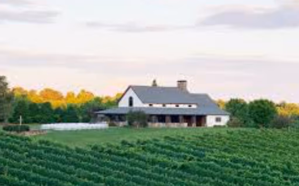 CeNita Vineyards GA wedding venue with vineyard views, catered by Exquisite Delites.