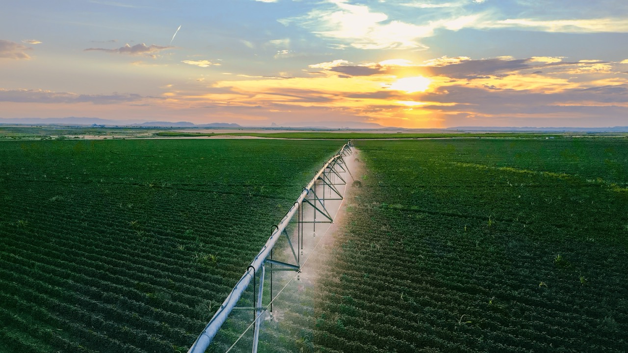 Farming and Crop Fields