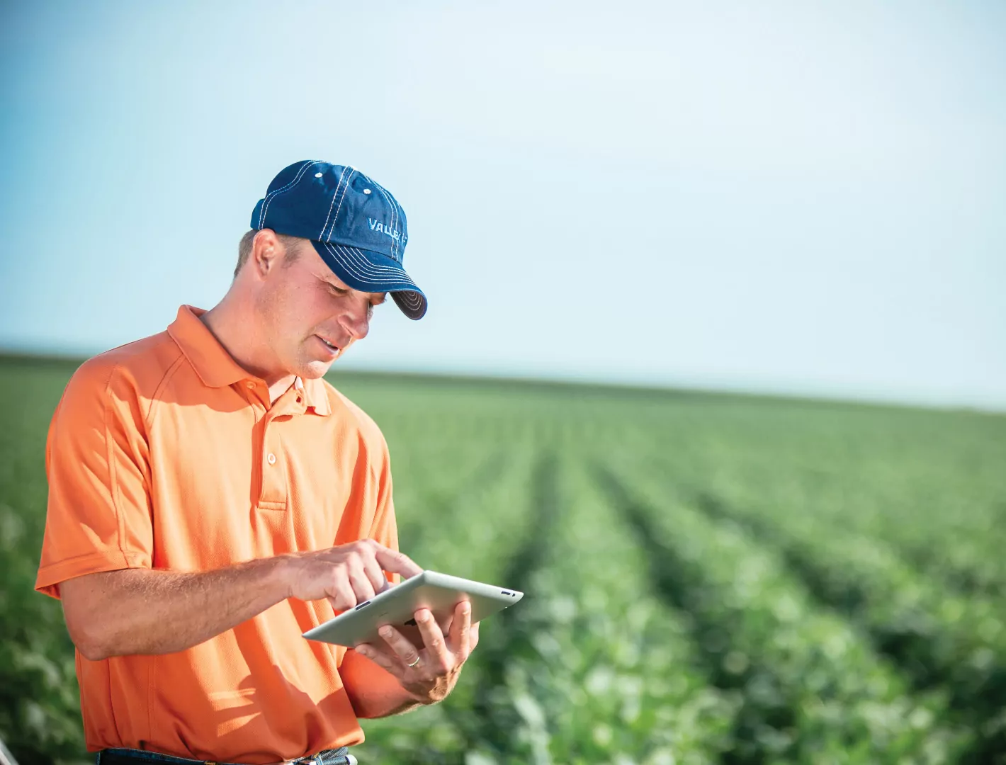Autonomous Crop Management