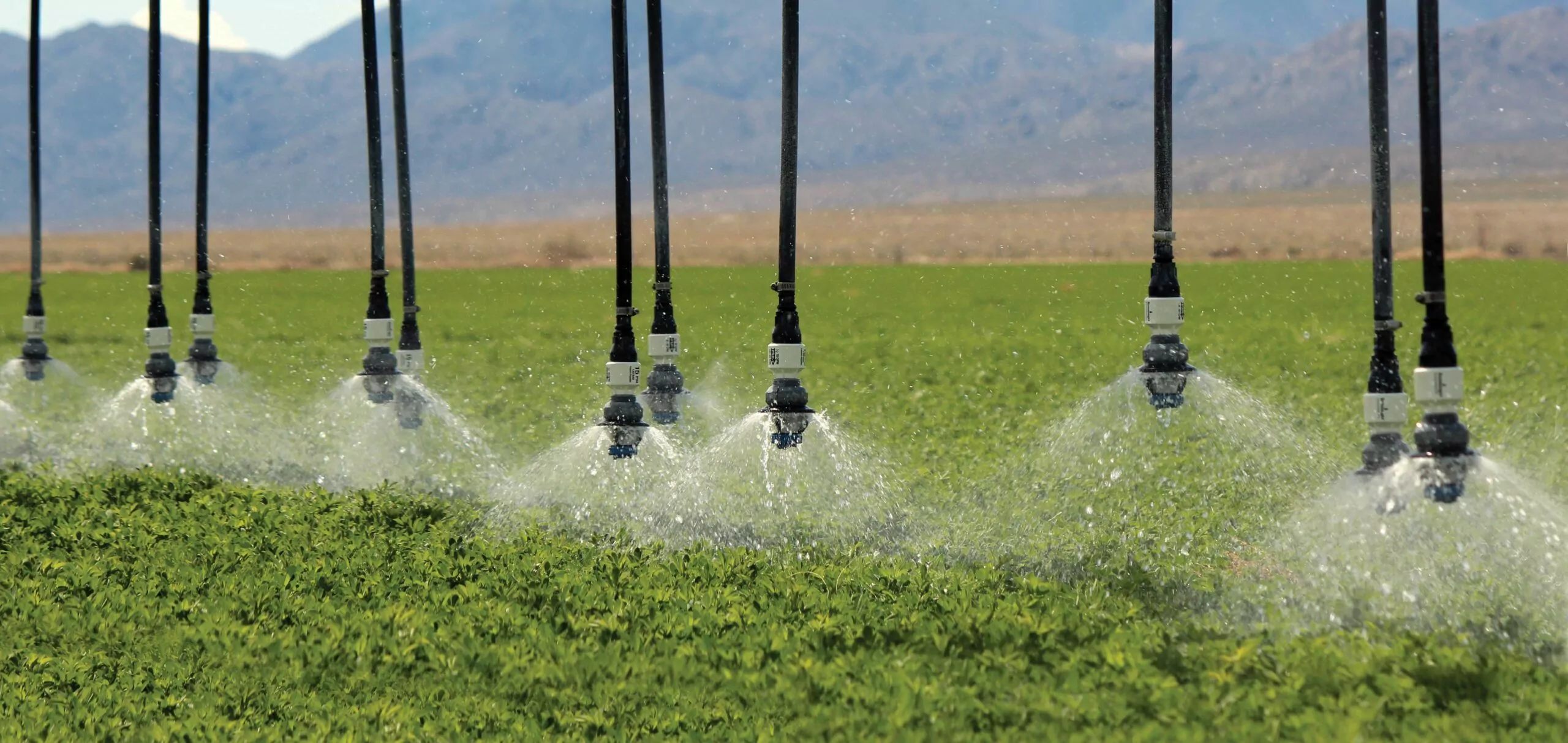 Sprinklers