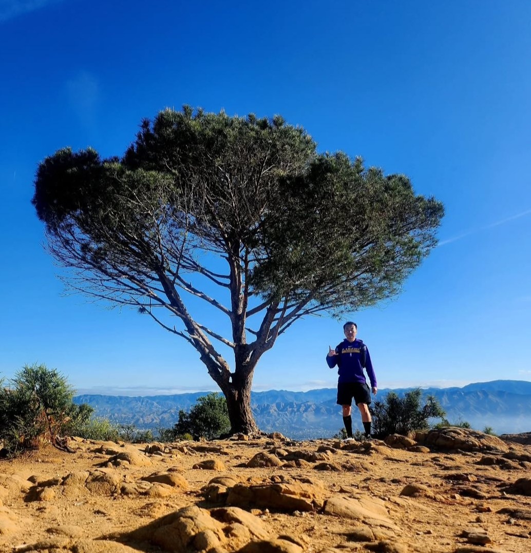 Wisdom Tree to Hollywood Sign