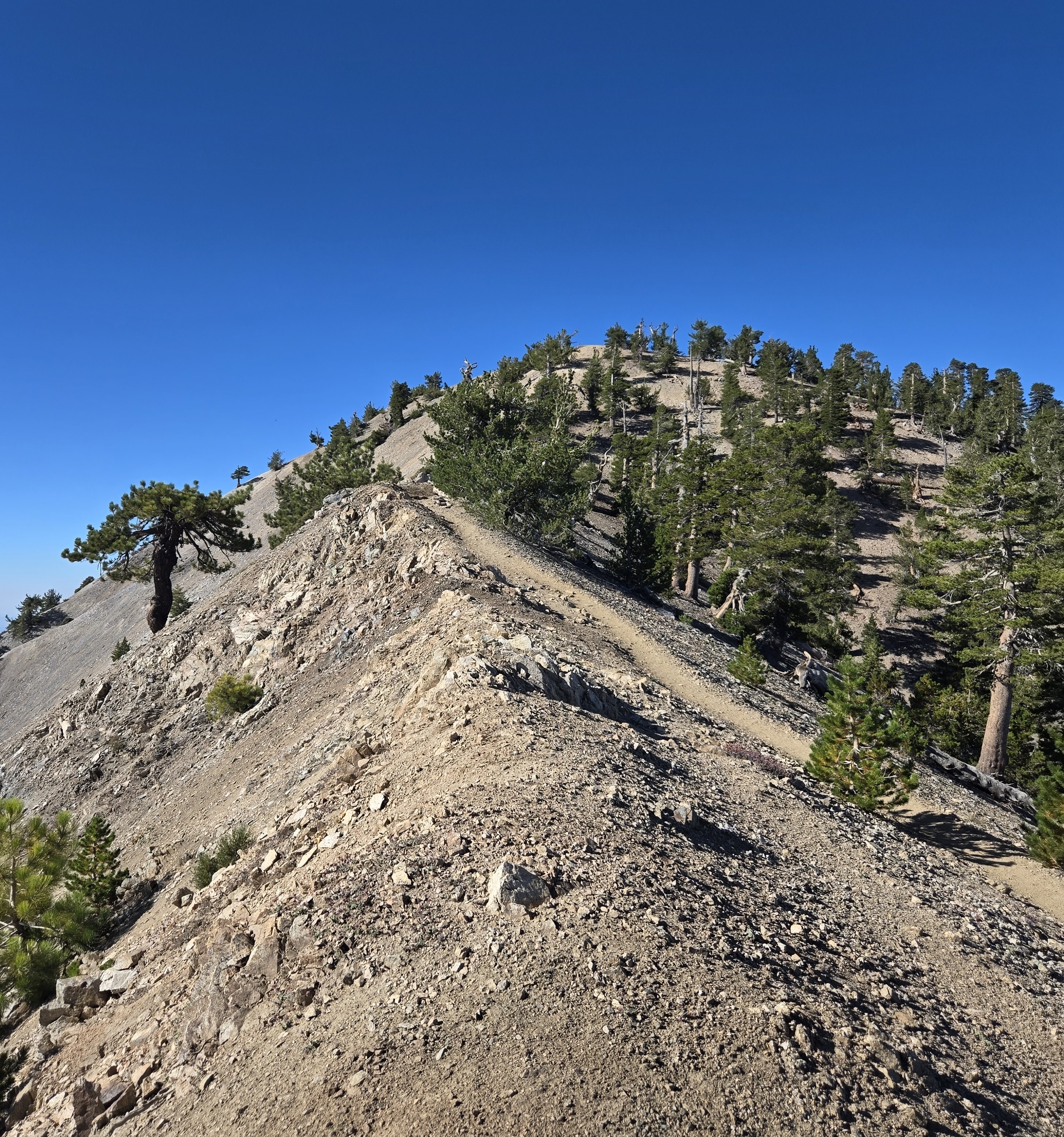 Autophagy & Longevity: Cellular Renewal at Altitude — Science